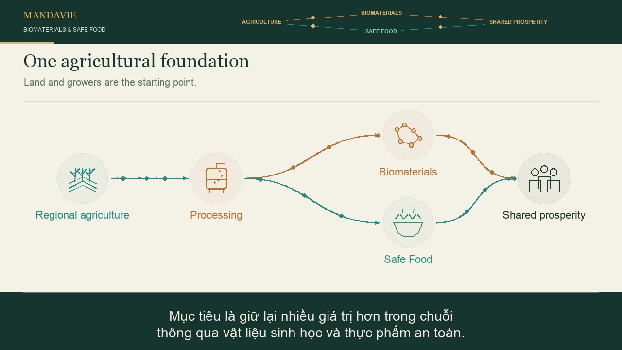Animated strategy map for the planned Biomaterials & Safe Food Programme